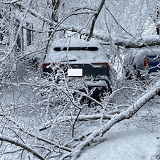 Emergency-Storm-Damage-Removal-in-Easton-MD 2